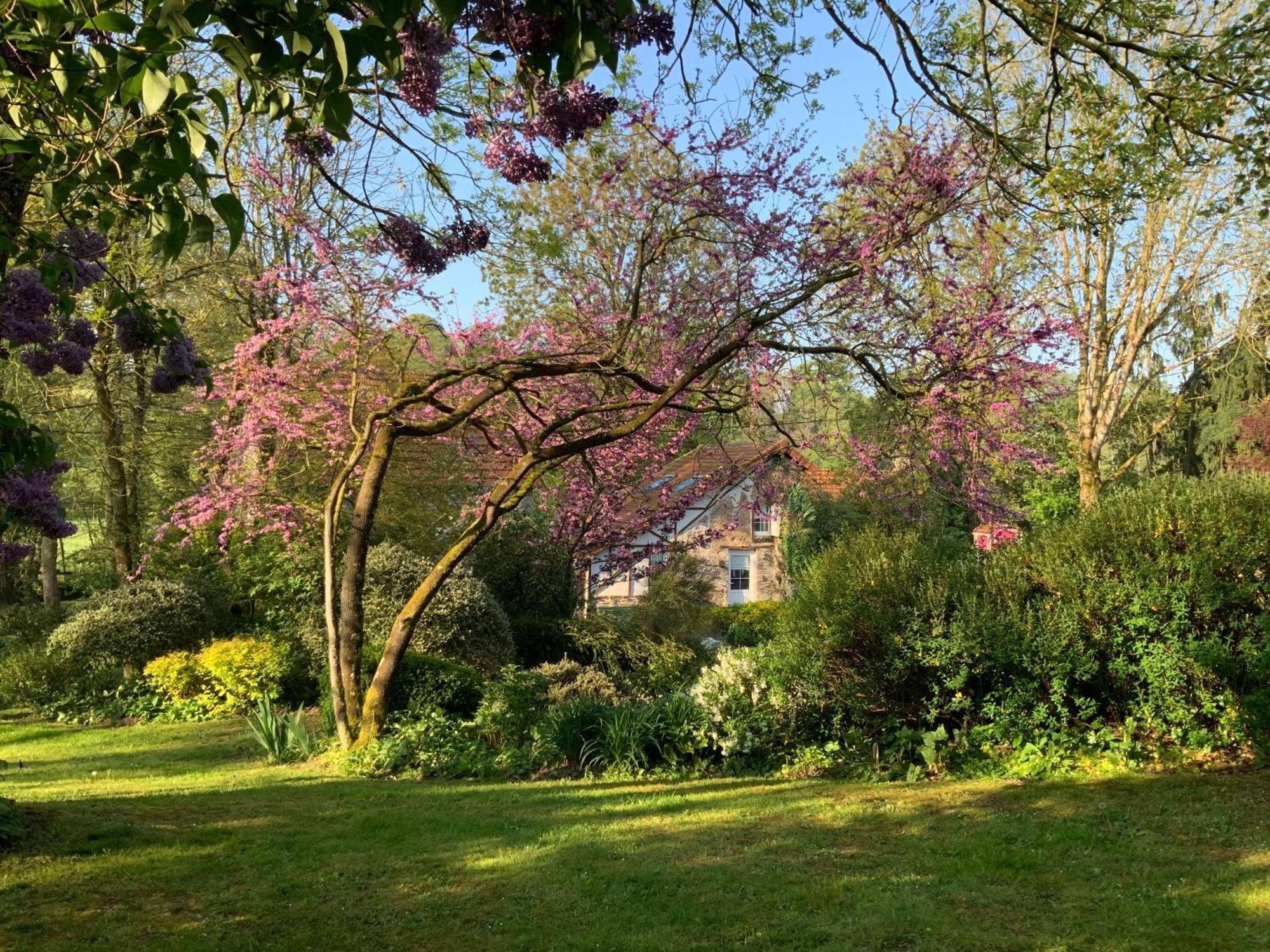 Le Moulin De La Castellerie Bed & Breakfast Moon-sur-Elle Luaran gambar