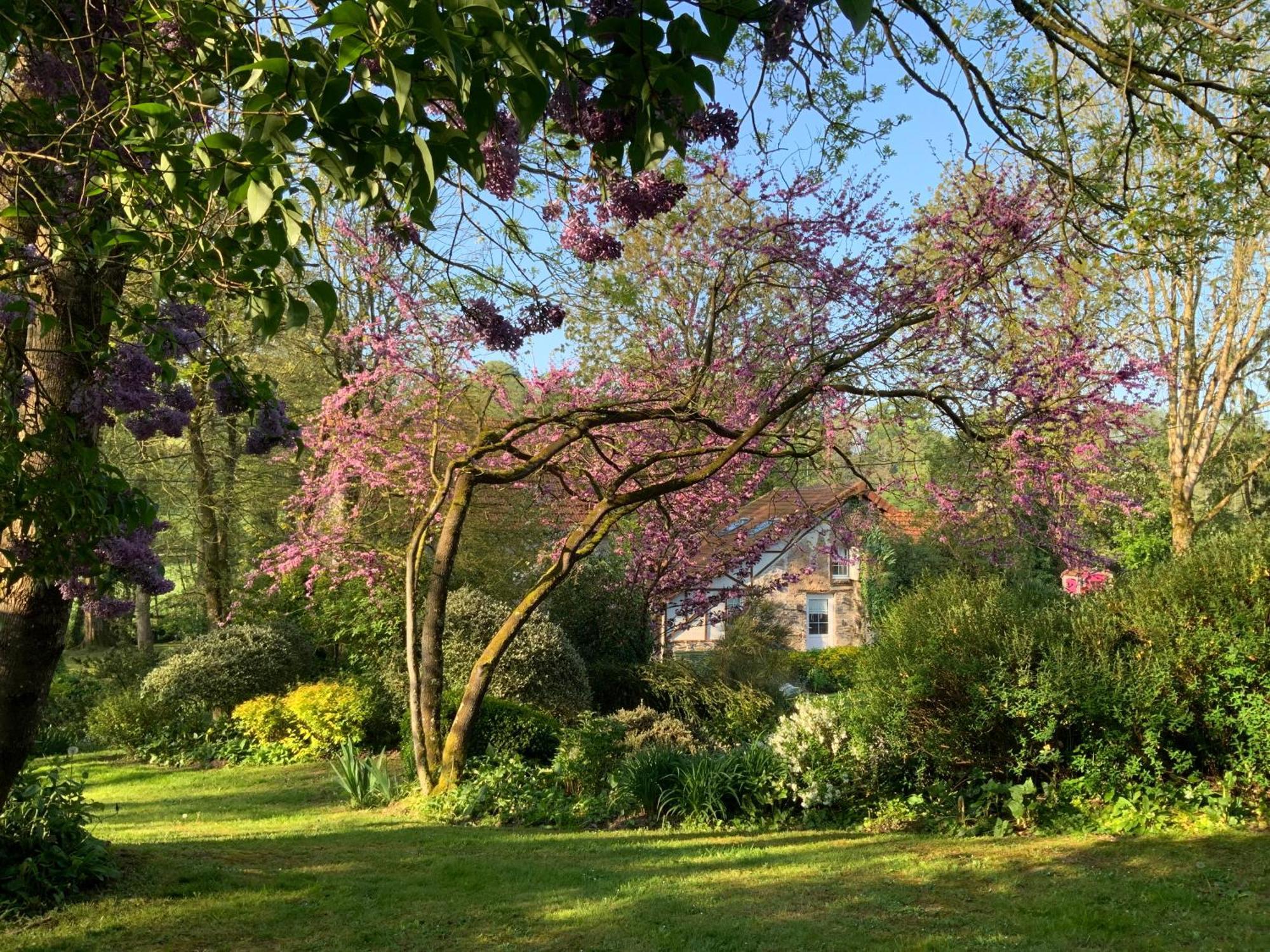 Le Moulin De La Castellerie Bed & Breakfast Moon-sur-Elle Luaran gambar