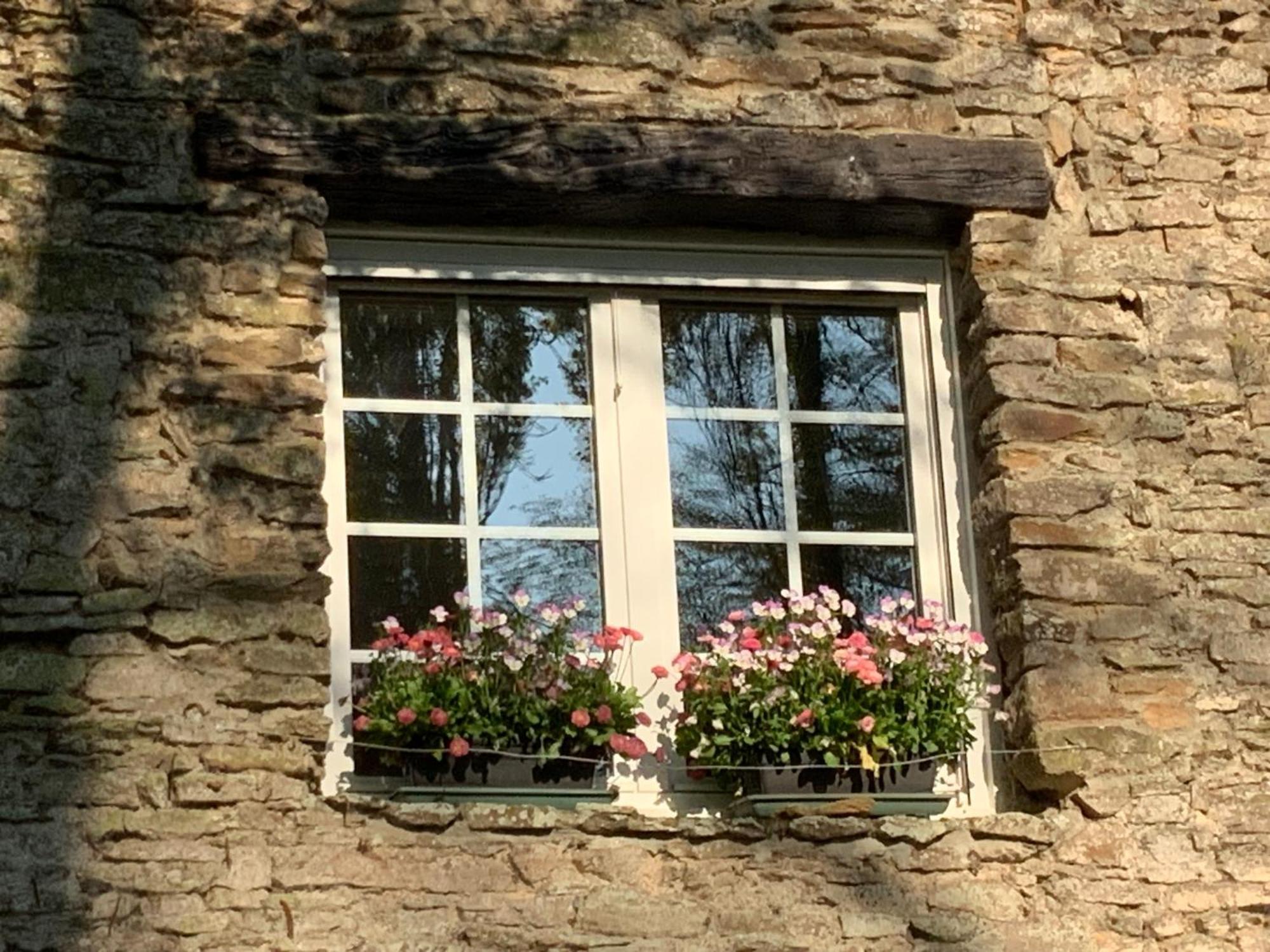 Le Moulin De La Castellerie Bed & Breakfast Moon-sur-Elle Luaran gambar