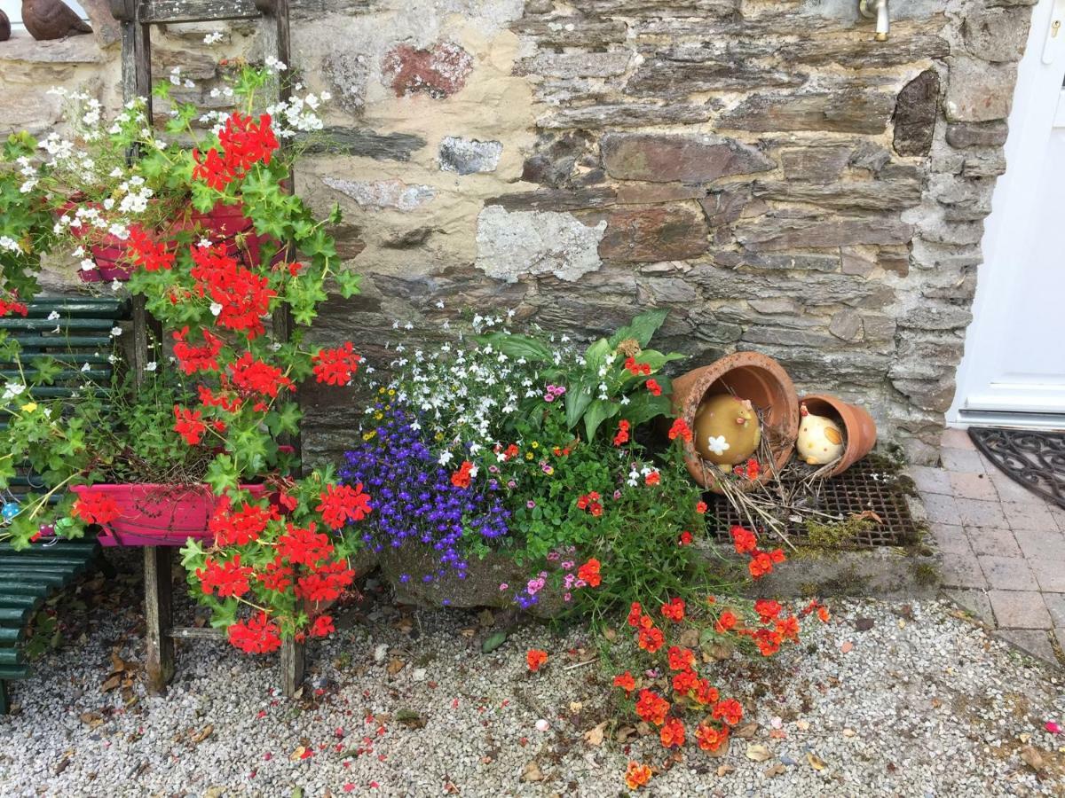 Le Moulin De La Castellerie Bed & Breakfast Moon-sur-Elle Luaran gambar