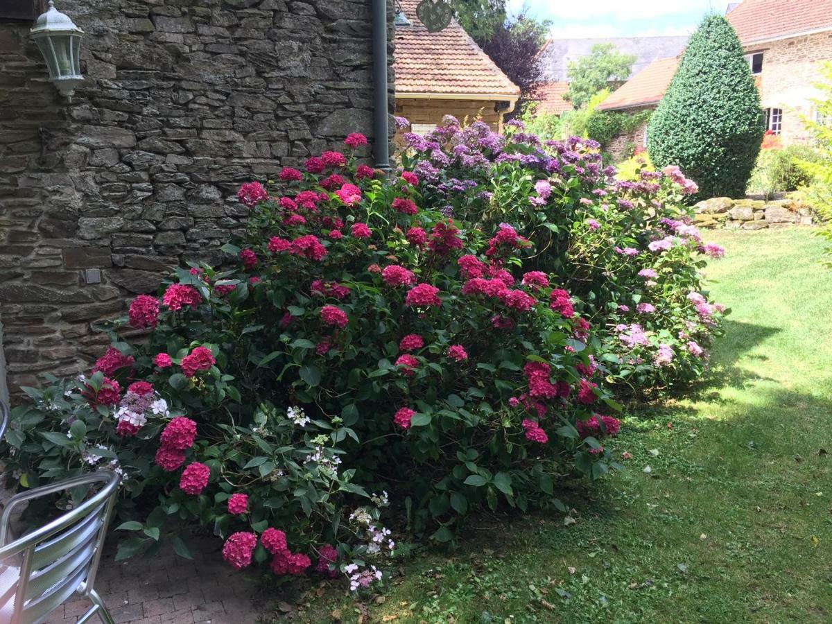 Le Moulin De La Castellerie Bed & Breakfast Moon-sur-Elle Luaran gambar
